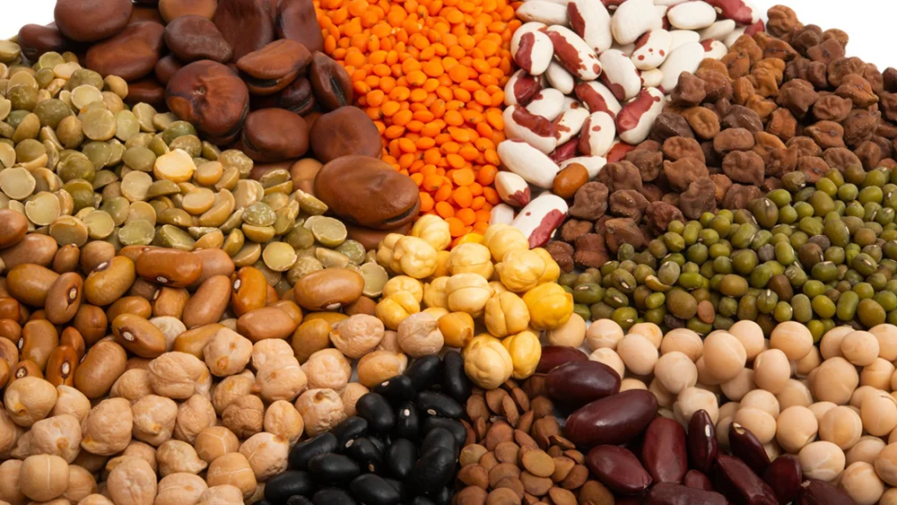 Are Beans Keto? Can You Eat Them On a Low-Carb Diet? | ProMeals Blog